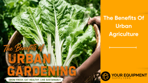 The Benefits Of Urban Agriculture