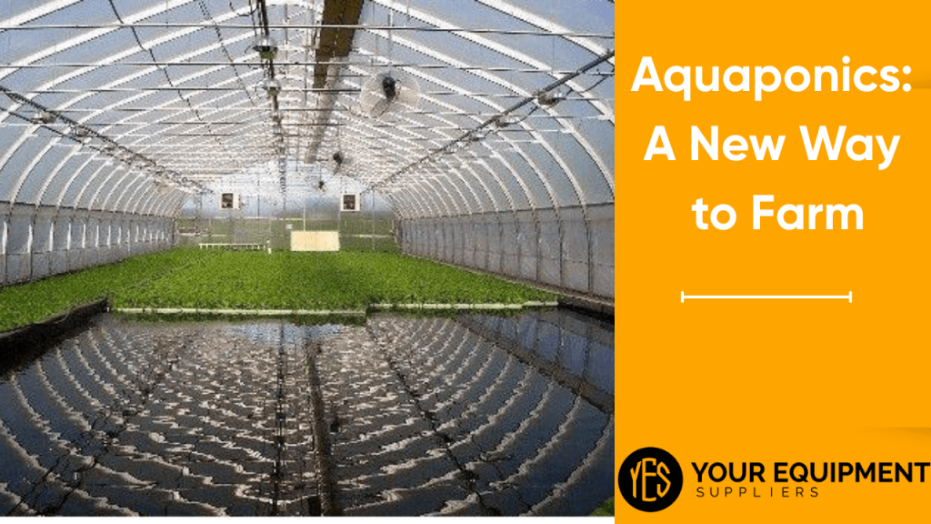 Aquaponics A New Way to Farm