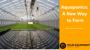 Aquaponics A New Way to Farm