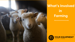 What’s Involved in Farming