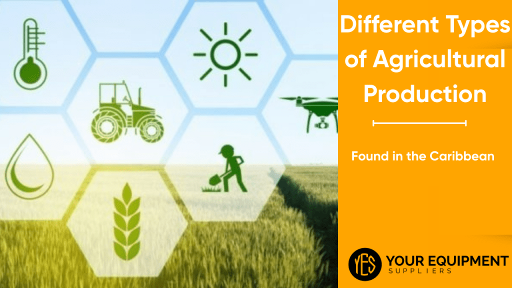 Different Types of Agricultural Production Found in the Caribbean