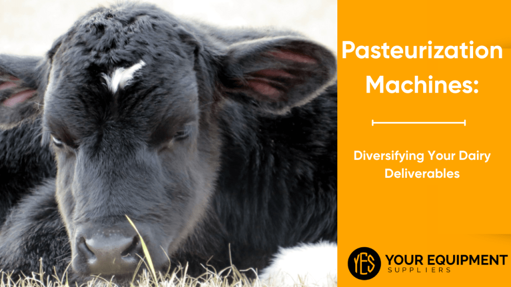 Pasteurization Machines-Diversifying Your Dairy Deliverables
