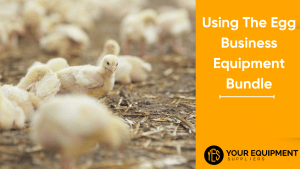 Using The Egg Business Equipment Bundle