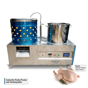Chicken Plucker with Boiler- Your Equipment Suppliers