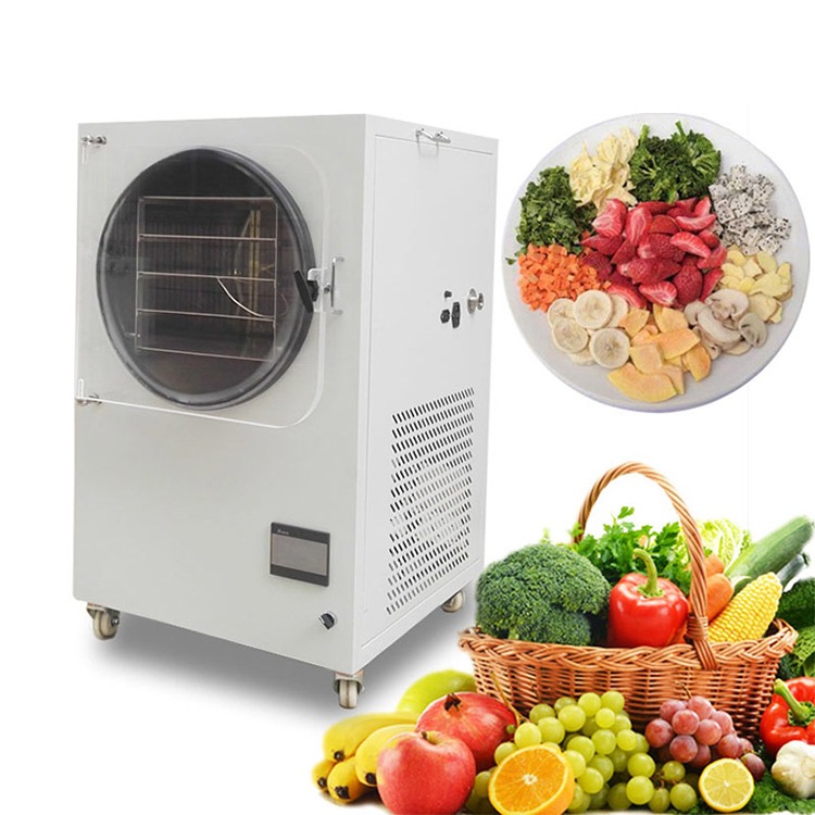 Powerful Commercial Stainless Steel Freeze Dryer - Image 12
