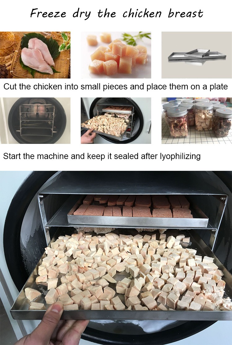 Powerful Commercial Stainless Steel Freeze Dryer - Image 9