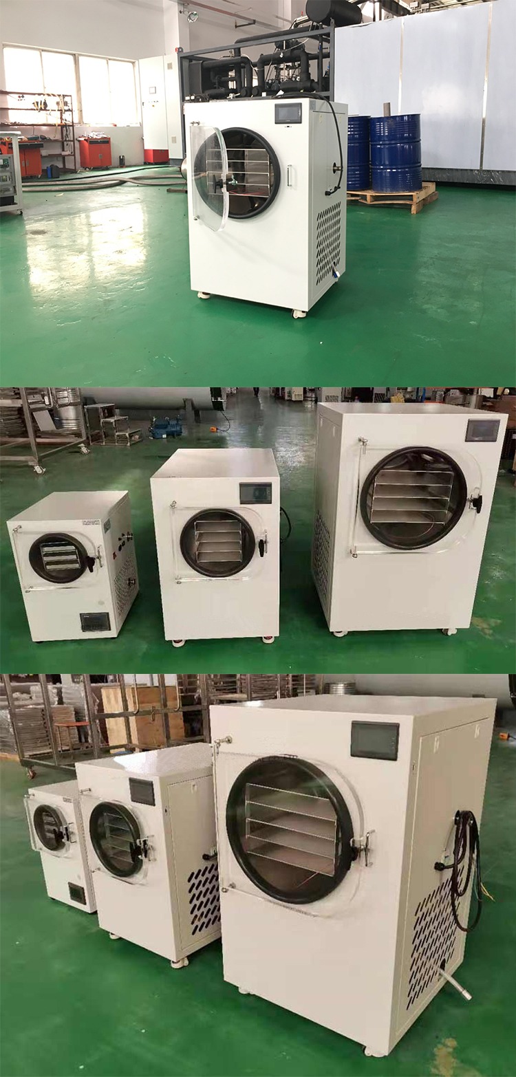 Powerful Commercial Stainless Steel Freeze Dryer - Image 10