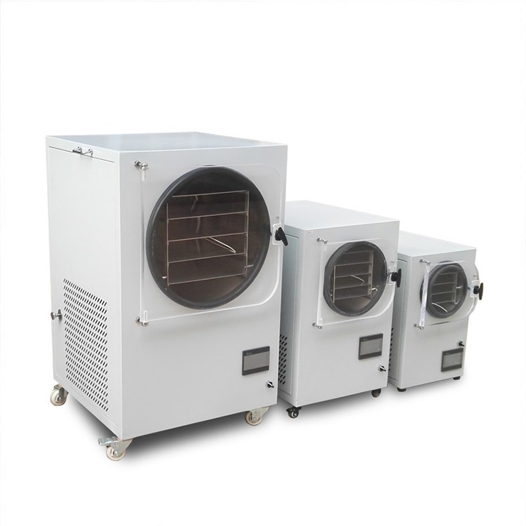 Powerful Commercial Stainless Steel Freeze Dryer