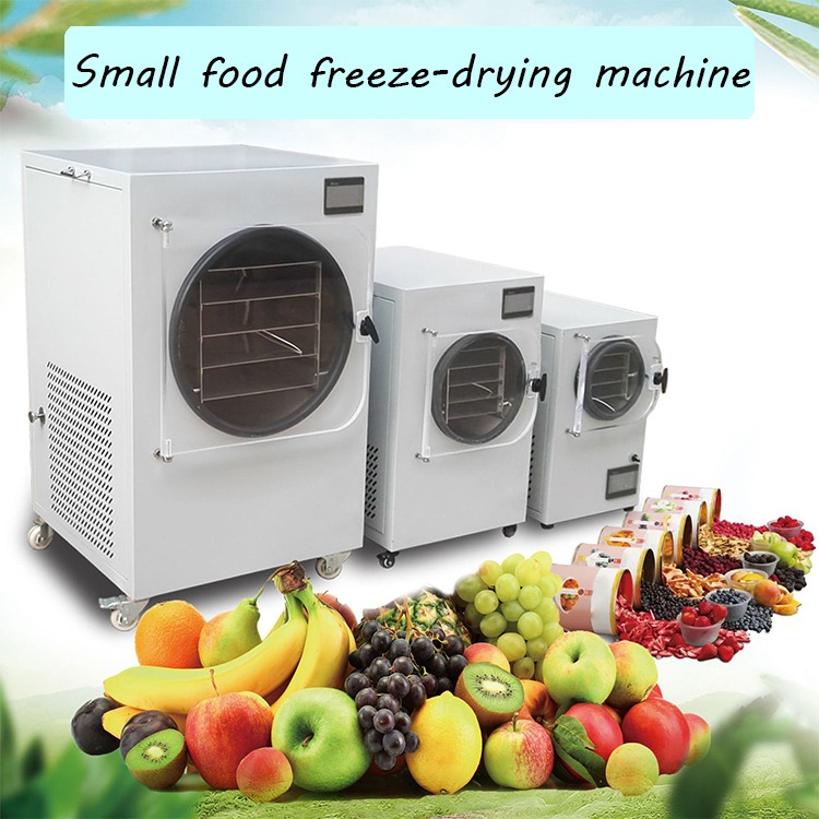 Freeze Dryer
