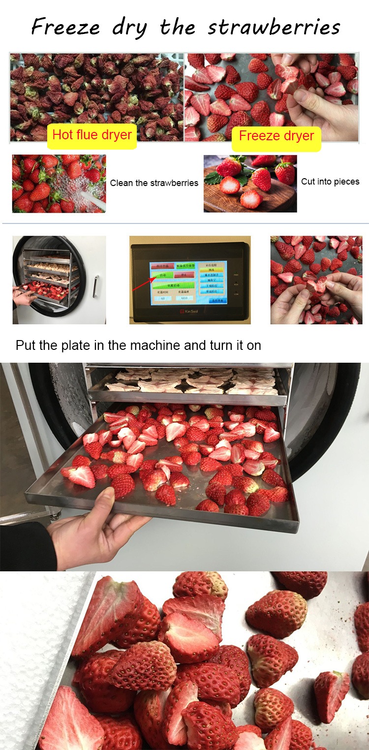 Powerful Commercial Stainless Steel Freeze Dryer - Image 8
