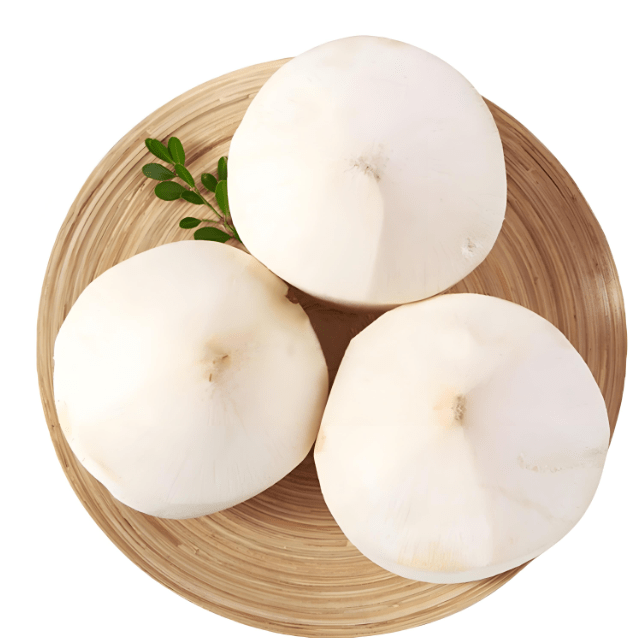 Young Coconut Peeled
