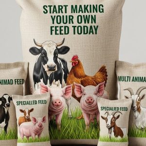 Pellet Making Bundle