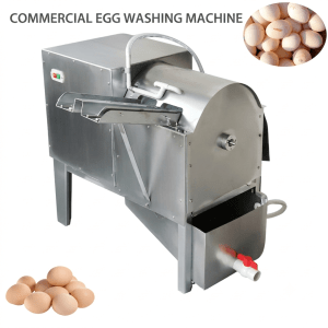 commercial egg washing machine - Your Equipment Suppliers