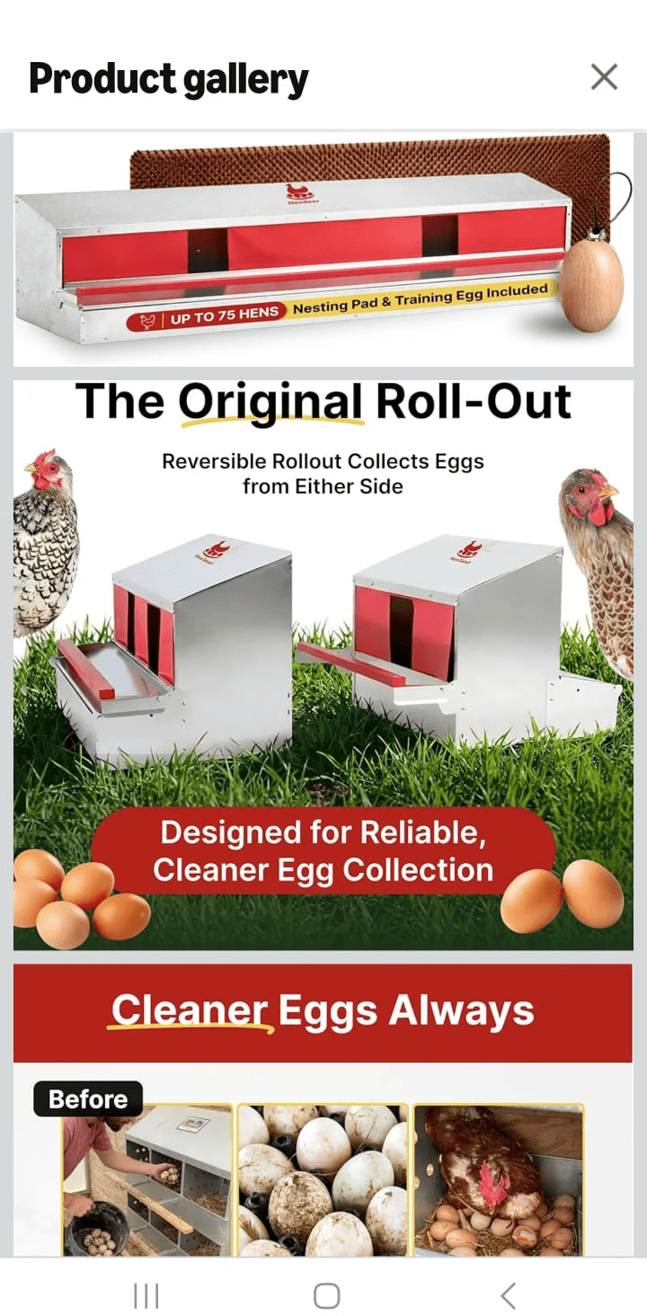 Chicken Nesting Box | Roll Out Egg Collection - Image 3