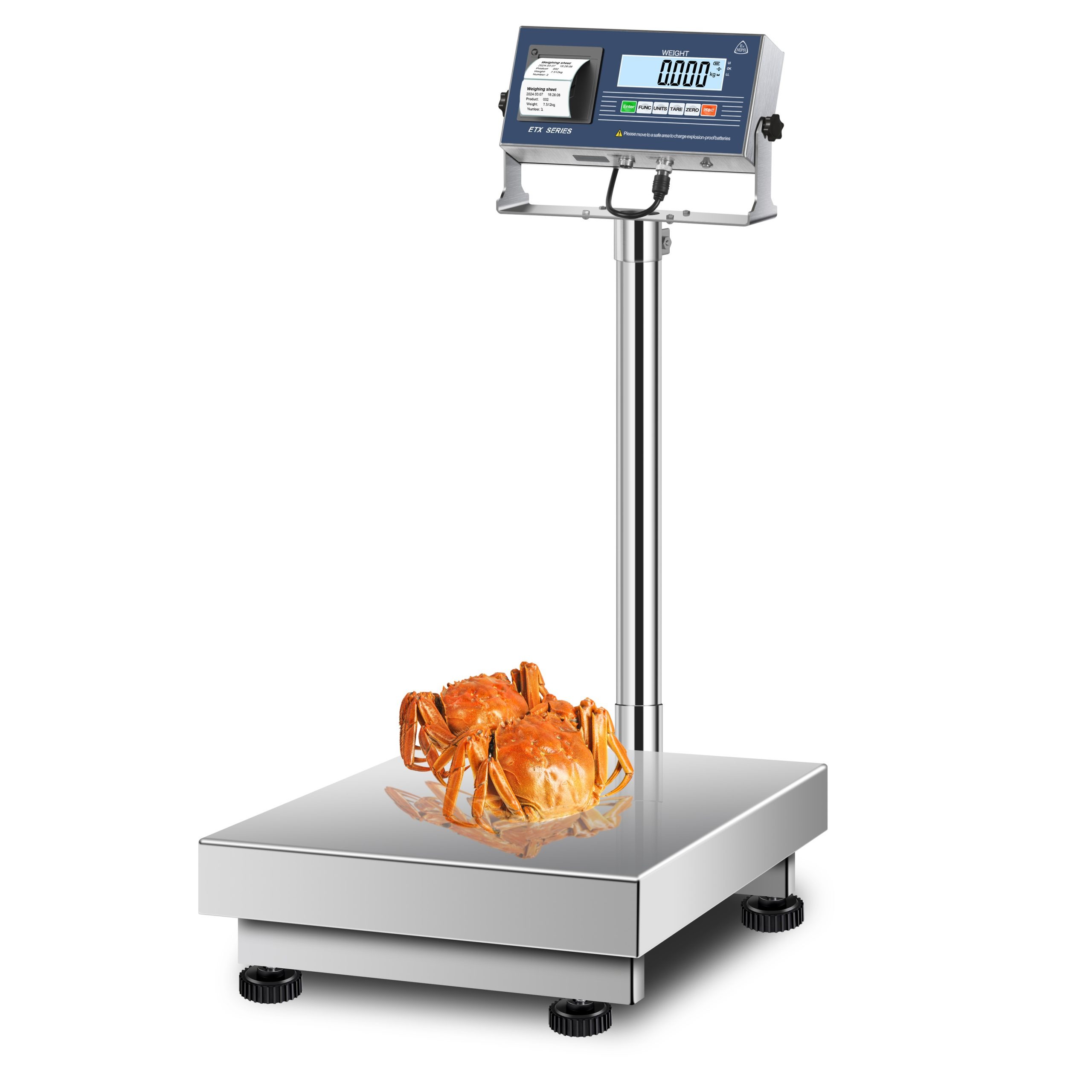 Explosion Proof Food Factory Platform Scale 100kg Capacity - Your Equipment Suppliers