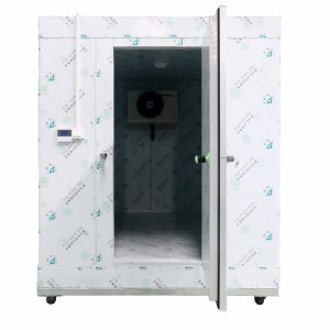 Walk In Freezer
