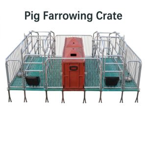 Pig Farrowing Crate- Your Equipment Suppliers
